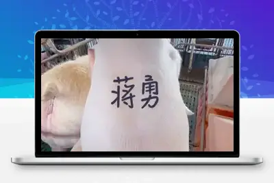 1103新版小猪改字21版